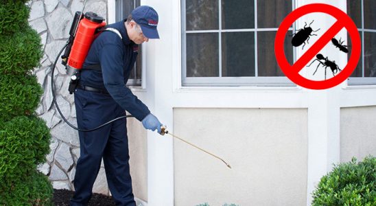 Kapaklı Böcek İlaçlama böcek ilaçlama ve haşere kontrolü — ilaclama-tr.com